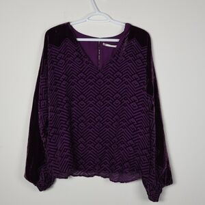12th Street by Cynthia Vincent Velvet Long Sleeve